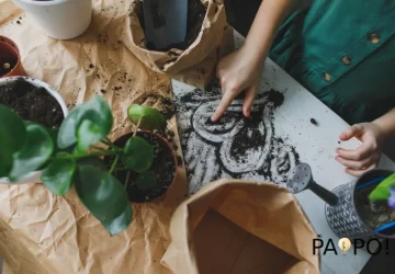 Se você gosta de economizar e contribuir para um mundo mais sustentável, então você precisa conhecer a tinta de terra.